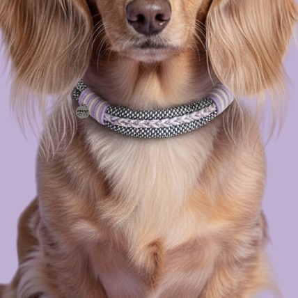 collier-zoomie-couleur-lila-4