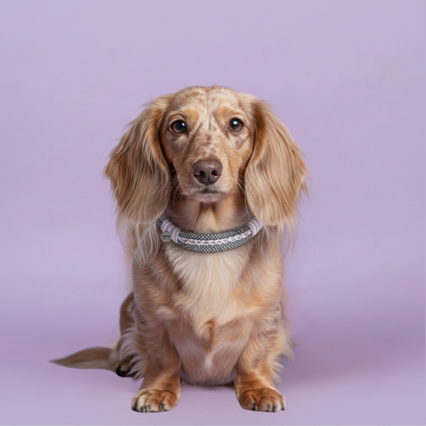 collier-zoomie-couleur-pastel-lila