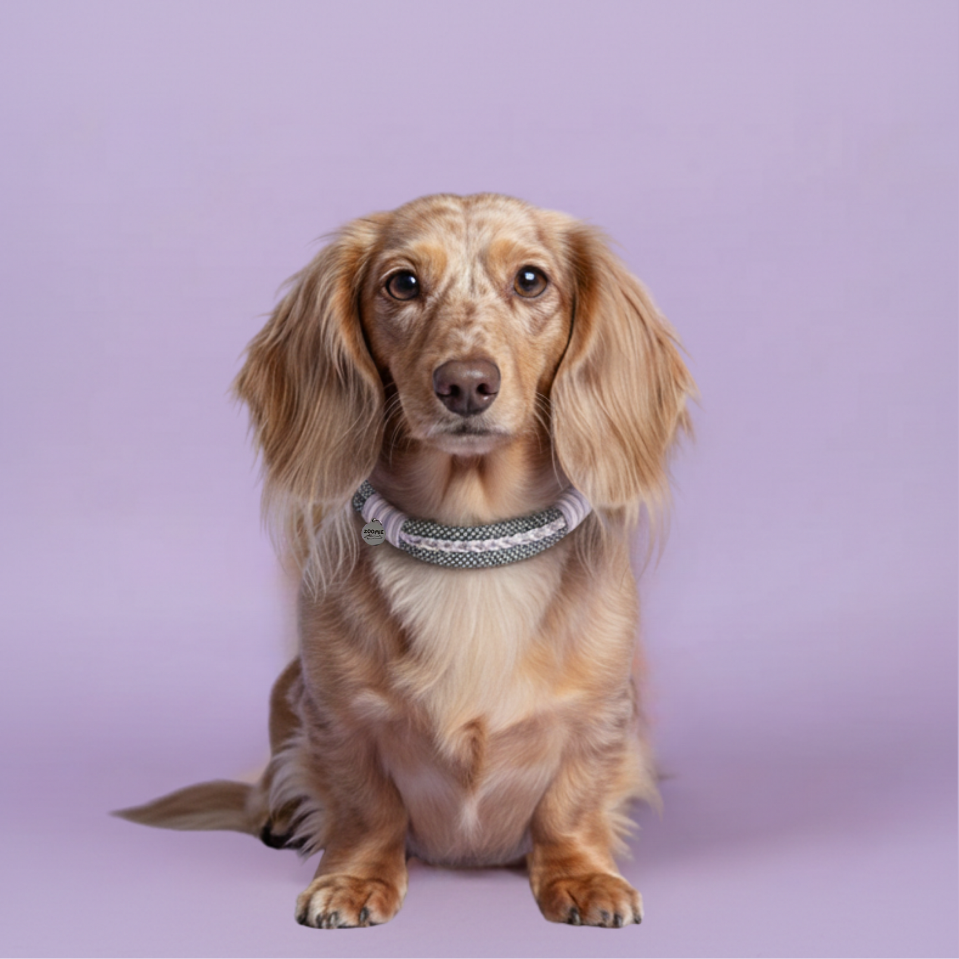 collier-zoomie-couleur-pastel-lila