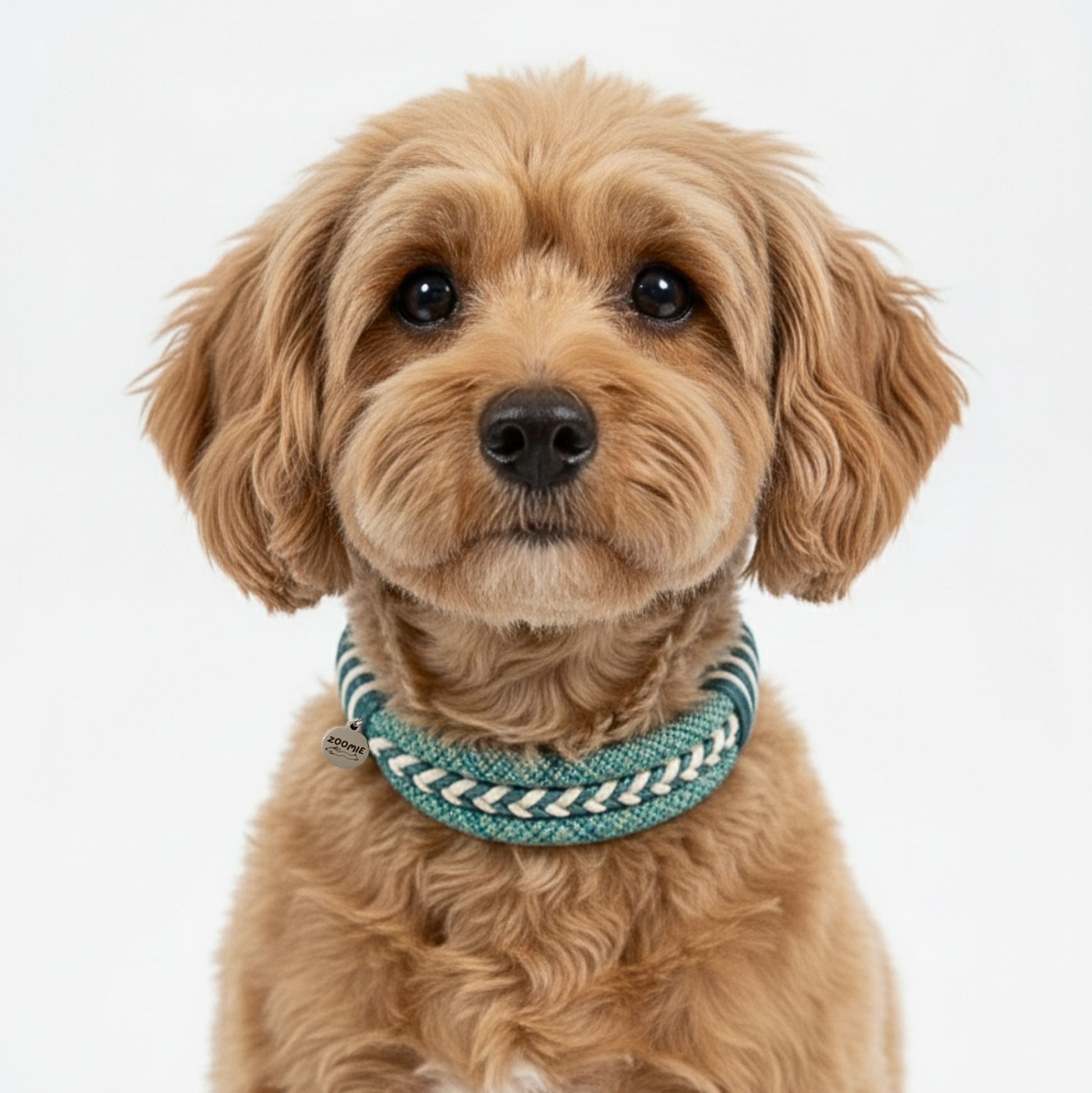 collier-zoomie-couleur-turquoise-3