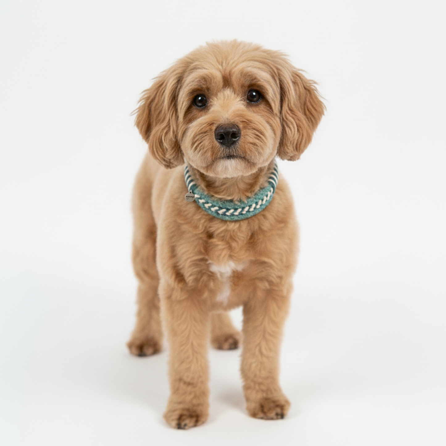collier-zoomie-couleur-turquoise-4