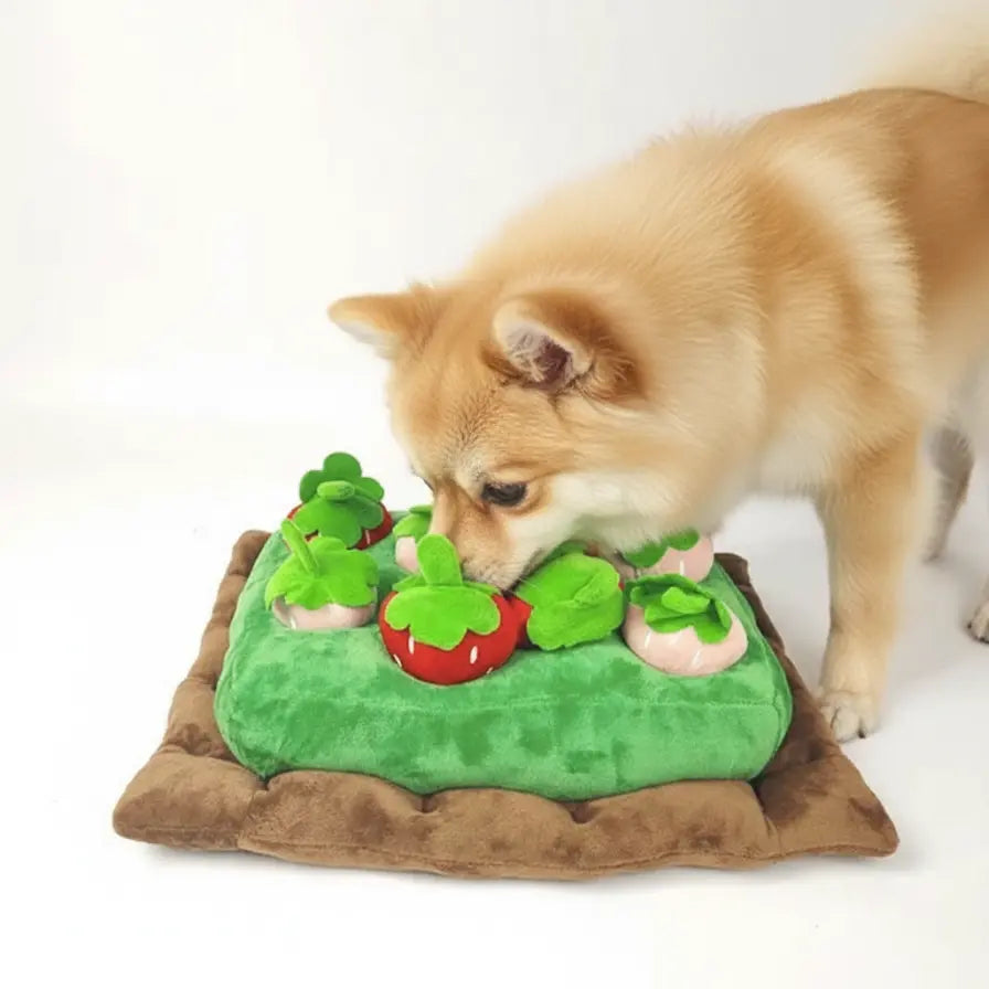 Tapis de fouille "Champ de Fraises Zoomie" - 6 ou 8 Fraises Zoomie