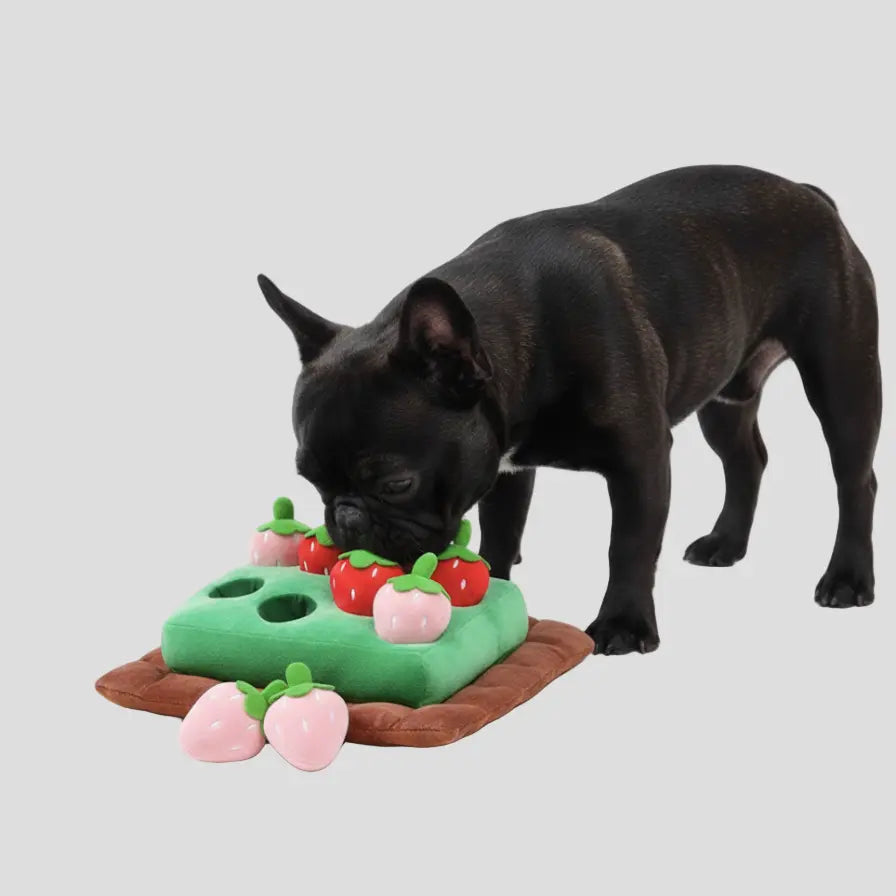 Tapis de fouille "Champ de Fraises Zoomie" - 6 ou 8 Fraises Zoomie