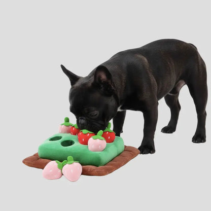 Tapis de fouille "Champ de Fraises Zoomie" - 6 ou 8 Fraises Zoomie