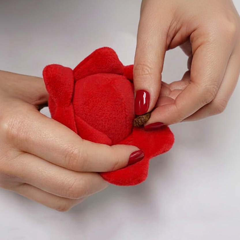 jouet_de_fouille_jardin_roses_zoomie_8