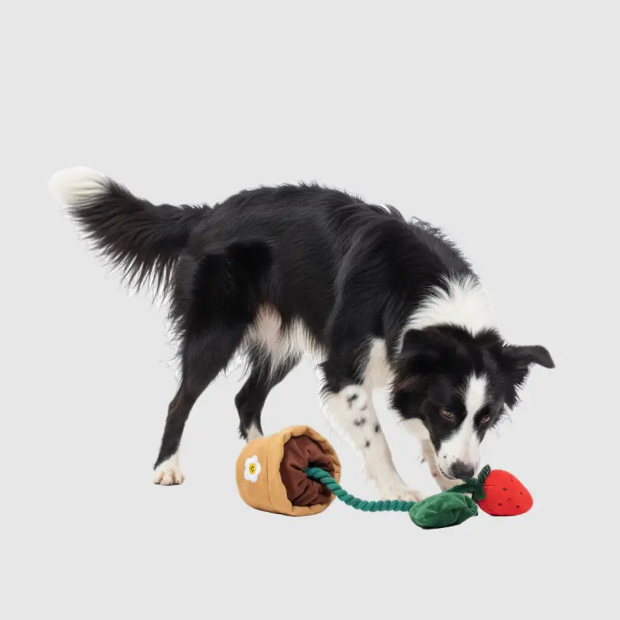 Jouet de fouille "Pot de Fraises Zoomie" Zoomie