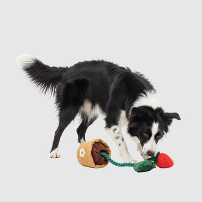 Jouet de fouille "Pot de Fraises Zoomie" Zoomie