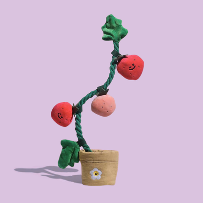 Jouet de fouille "Pot de Fraises Zoomie"