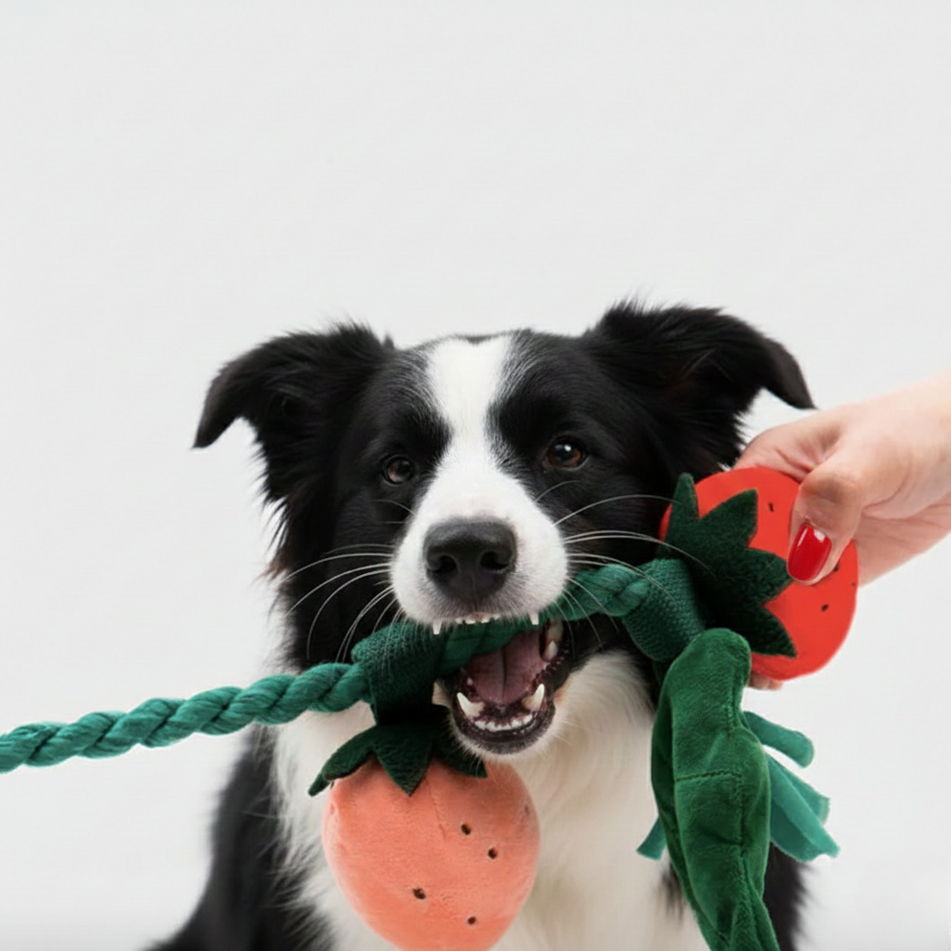 jouet_fouille_pot_de_fraises_7